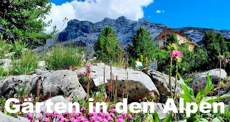 Gärten in den Alpen – Bild: SWR/Daniela Agostini Gärten in den Alpen – Bild: SWR/Daniela Agostini