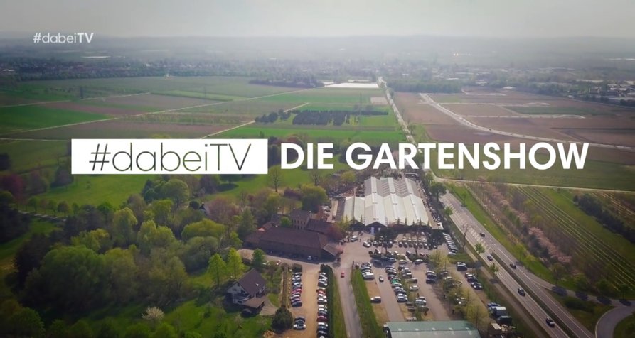 Gartenshow – Bild: #dabeiTV Gartenshow – Bild: #dabeiTV