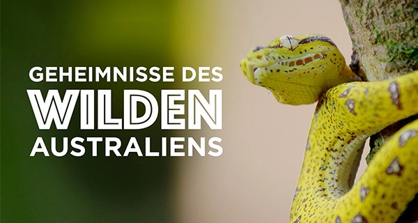Geheimnisse des wilden Australiens – Bild: Love Nature Geheimnisse des wilden Australiens – Bild: Love Nature
