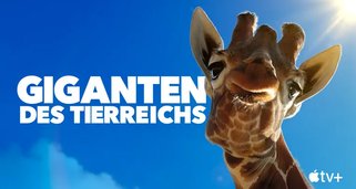 Giganten des Tierreichs