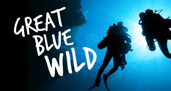 Große, blaue Wildnis – Bild: Blue Ant Media/Smithsonian Channel Große, blaue Wildnis – Bild: Blue Ant Media/Smithsonian Channel