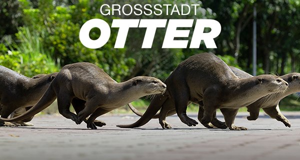 Großstadt-Otter – Bild: Beach House Pictures Großstadt-Otter – Bild: Beach House Pictures