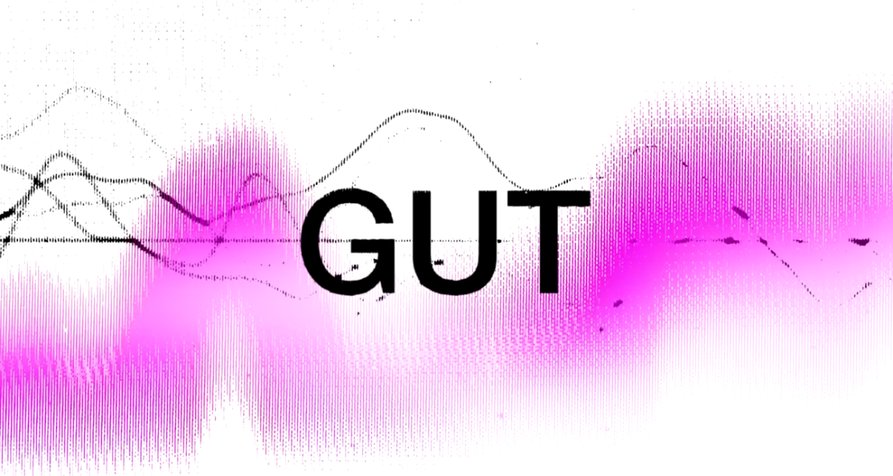 GUT – Bild: rbb GUT – Bild: rbb