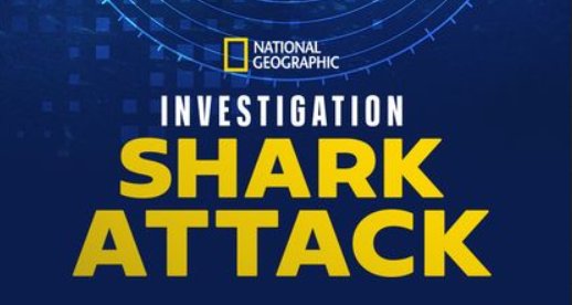 Haiangriffen auf der Spur – Bild: National Geographic
