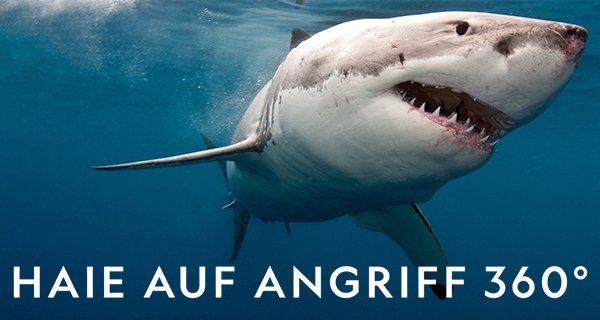 Haie auf Angriff 360° – Bild: National Geographic Haie auf Angriff 360° – Bild: National Geographic