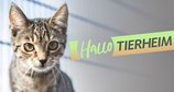 Hallo Tierheim! – Bild: WDR