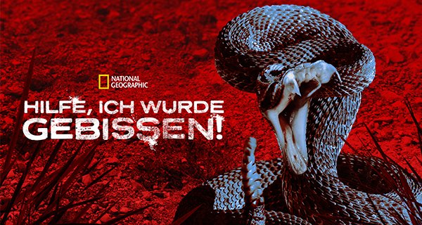 Hilfe, ich wurde gebissen! – Bild: National Geographic Hilfe, ich wurde gebissen! – Bild: National Geographic