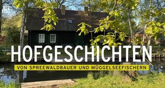 Hofgeschichten