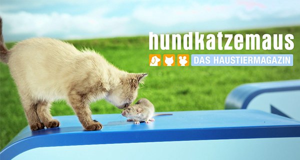 hundkatzemaus – Bild: RTL