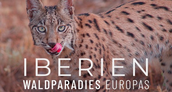 Iberien – Waldparadies Europas – Bild: TVNOW Iberien – Waldparadies Europas – Bild: TVNOW