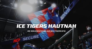 Ice Tigers hautnah