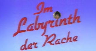 Im Labyrinth der Rache