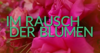 Im Rausch der Blumen