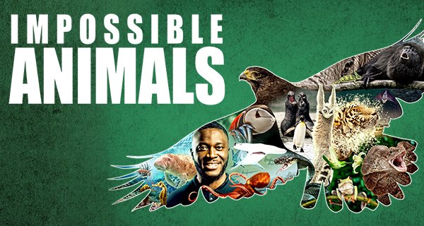 Impossible Animals – Bild: Sky/Offspring Films