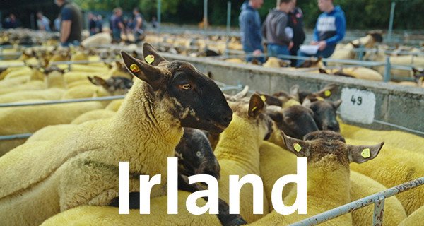 Irland – Bild: Planet Schule/WDR/Florian Film