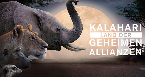 Kalahari: Land der geheimen Allianzen – Bild: Sky/Love Nature