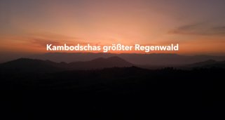Kambodschas größter Regenwald Kambodschas größter Regenwald