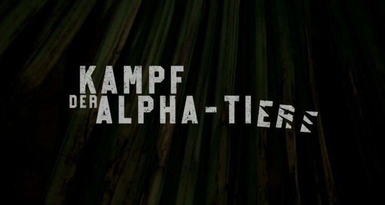Kampf der Alpha-Tiere – Bild: Sky Kampf der Alpha-Tiere – Bild: Sky