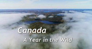 Kanada: Ein Jahr in der Wildnis