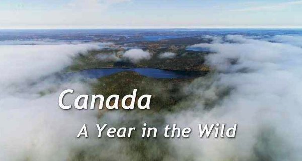 Kanada: Ein Jahr in der Wildnis – Bild: Channel 5/Tigress Productions Kanada: Ein Jahr in der Wildnis – Bild: Channel 5/Tigress Productions