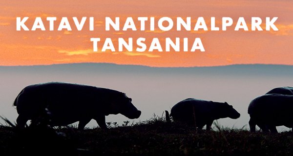 Katavi Nationalpark Tansania – Bild: arte/Owen Prümm Katavi Nationalpark Tansania – Bild: arte/Owen Prümm