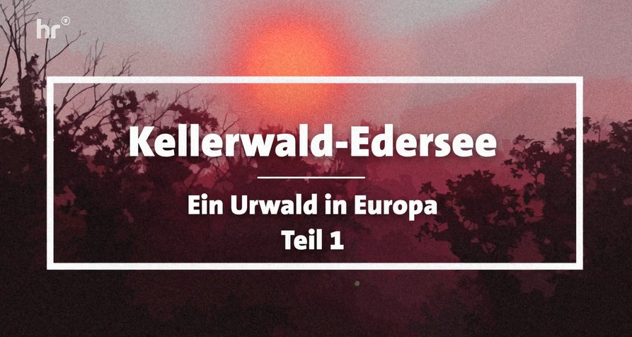 Kellerwald-Edersee – Ein Urwald in Europa – Bild: HR (Screenshot) Kellerwald-Edersee – Ein Urwald in Europa – Bild: HR (Screenshot)