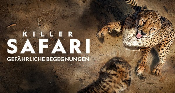 Killer Safari: Gefährliche Begegnungen – Bild: National Geographic