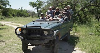 Killer Safari: Gefährliche Begegnungen