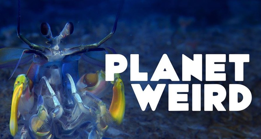 Komischer Planet – Bild: Wildbear Entertainment