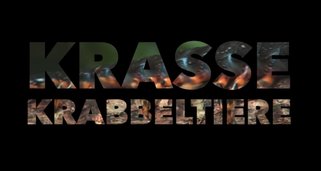 Krasse Krabbeltiere