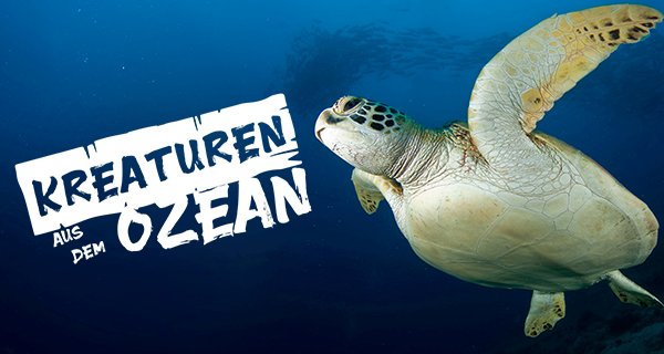 Kreaturen aus dem Ozean – Bild: Love Nature Kreaturen aus dem Ozean – Bild: Love Nature
