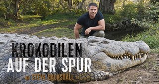 Krokodilen auf der Spur – mit Steve Backshall
