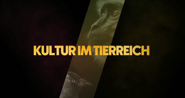Kultur im Tierreich – Bild: arte