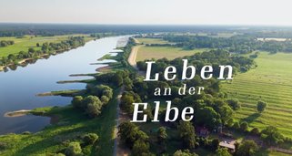 Leben an der Elbe