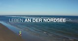 Leben an der Nordsee – Bild: arte / ZDF Leben an der Nordsee – Bild: arte / ZDF