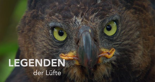 Legenden der Lüfte – Bild: arte