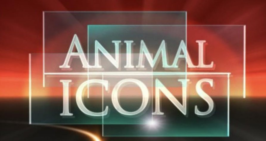 Leinwandhelden – Bild: Animal Planet/Fox Television Network/Prometheus Entertainment