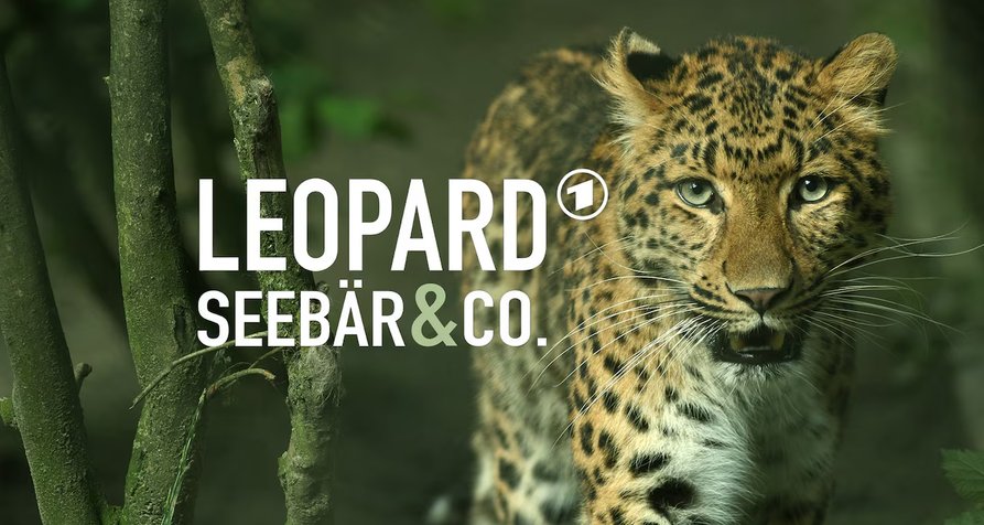 Leopard, Seebär & Co. – Bild: ARD Leopard, Seebär & Co. – Bild: ARD
