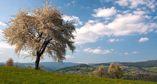 Lieblingsorte Steiermark – Bild: ORF Lieblingsorte Steiermark – Bild: ORF