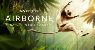 Luftakrobaten des Tierreichs Luftakrobaten des Tierreichs