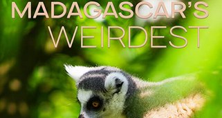 Madagaskars tierische Freaks