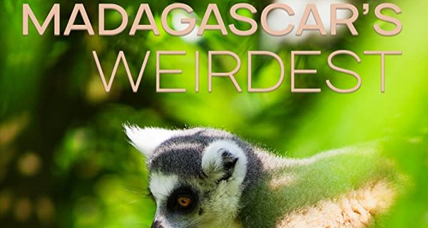 Madagaskars tierische Freaks – Bild: Lion Mountain Media Madagaskars tierische Freaks – Bild: Lion Mountain Media