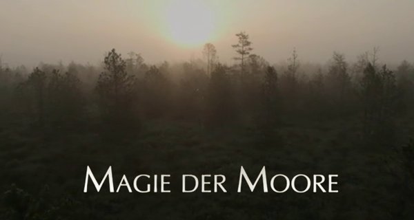 Magie der Moore – Bild: arte/nautilusfilm