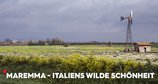 Maremma - Italiens wilde Schönheit – Bild: ZDF/Renato Cottalasso