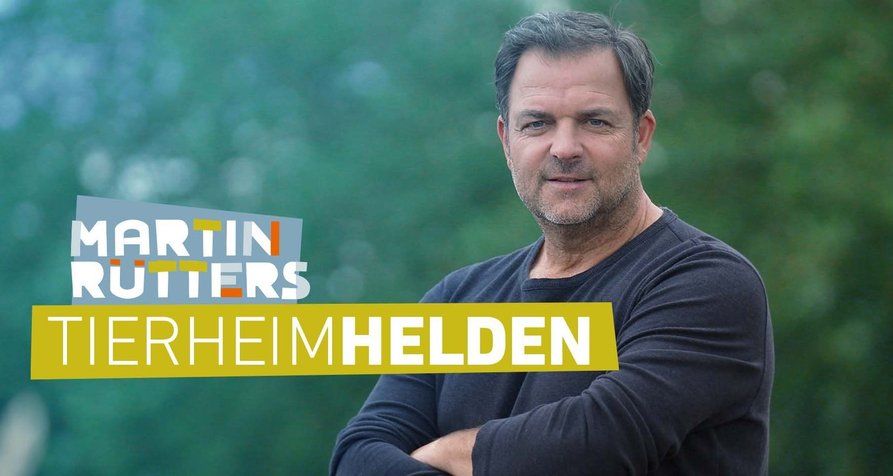 Martin Rütters Tierheimhelden – Bild: RTL Martin Rütters Tierheimhelden – Bild: RTL