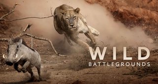Schauplatz Wildnis – Kämpfe im Tierreich