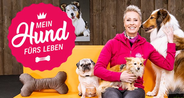 Mein Hund fürs Leben – Bild: ZDF/Richard Hübner Mein Hund fürs Leben – Bild: ZDF/Richard Hübner