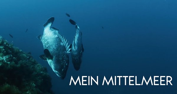 Mein Mittelmeer – Bild: arte Mein Mittelmeer – Bild: arte