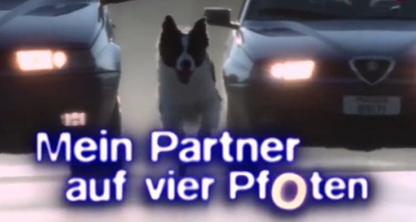 Mein Partner auf vier Pfoten – Bild: eo TV