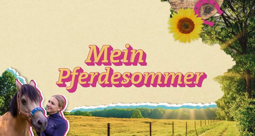Mein Pferdesommer – Bild: SWR/Screenshot